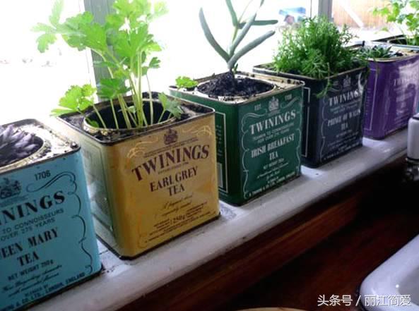 废旧铁盒子别扔,教你如何变废为宝,制做创意小盆栽
