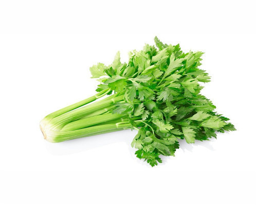 芹菜的播种，芹菜的生长和收获