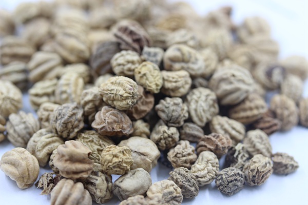 旱金莲几天发芽，播种后多久开花
