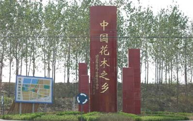 虞姬故里 花木之乡——沭阳县颜集镇