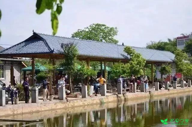 恩桃红了！2018四川最全樱桃采摘清单！拿走不谢！蒲江樱桃节蒲江光明乡泸定红樱桃简阳樱桃节简阳樱桃沟青白江樱桃节清泉镇五桂村+快乐村崇州樱桃沟仁寿仁寿县文林镇吊庆社区仁寿县文林镇蜂蜜乡仁寿县杨柳镇沙子湾没有樱桃节也超级巴适的小众樱桃采摘地资阳晏家坝洛带金龙村龙泉红花村海窝子古镇双流太平镇小堰村金堂隆盛镇彭州葛仙山眉山桂花湖攀枝花·米易雅安汉源凉山樟木乡角半村复兴镇
