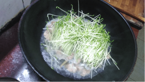 豌豆苗高清大图！豌豆苗高清图片欣赏！