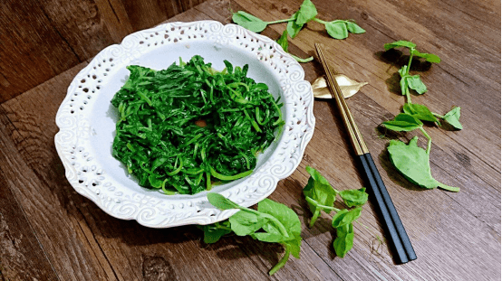 豌豆苗高清大图！豌豆苗高清图片欣赏！
