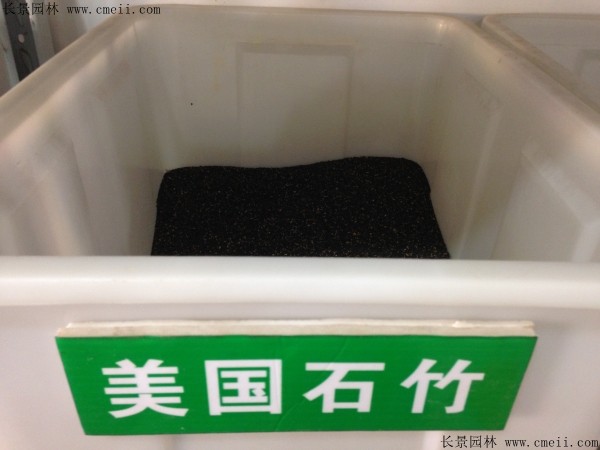 美国石竹种子几月播种最好？