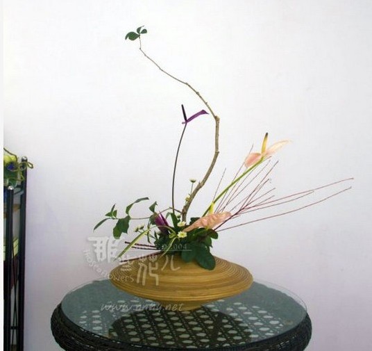 插花——致青春