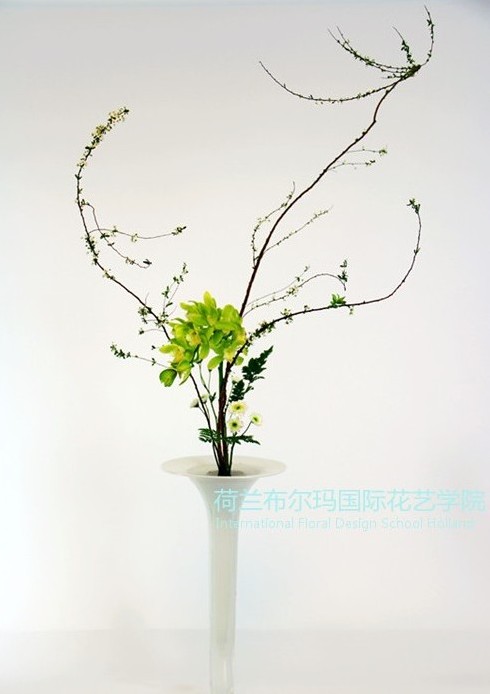东方式插花的别样魅力体验
