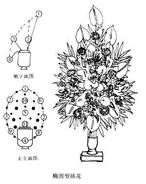 西方式插花教程