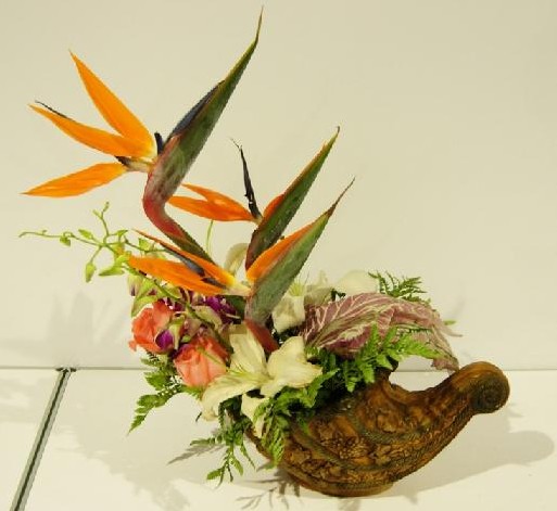 插花欣赏之月季