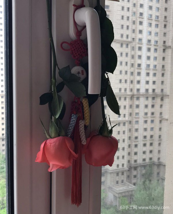 如何做干花 干花养成记
