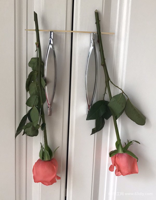 如何做干花 干花养成记
