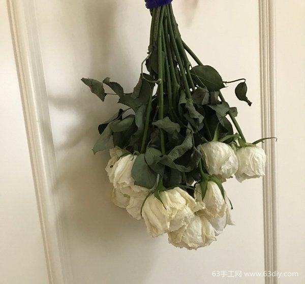 如何做干花 干花养成记