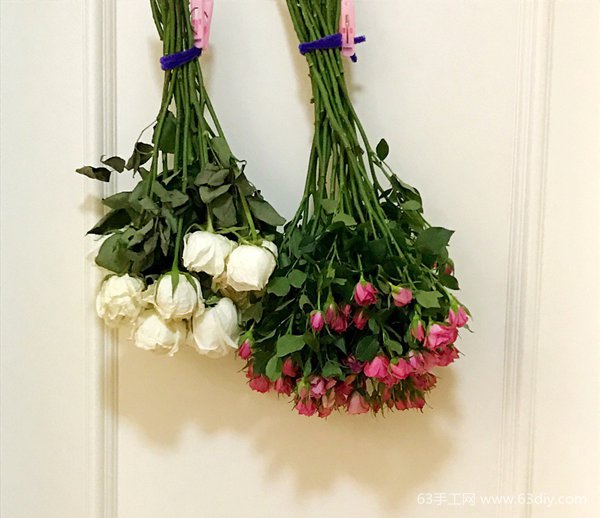 如何做干花 干花养成记