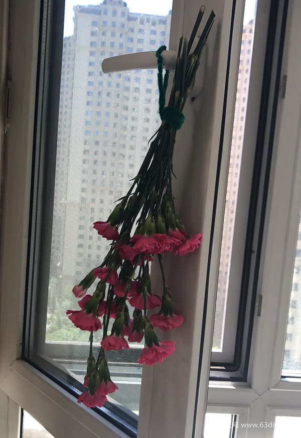 如何做干花 干花养成记
