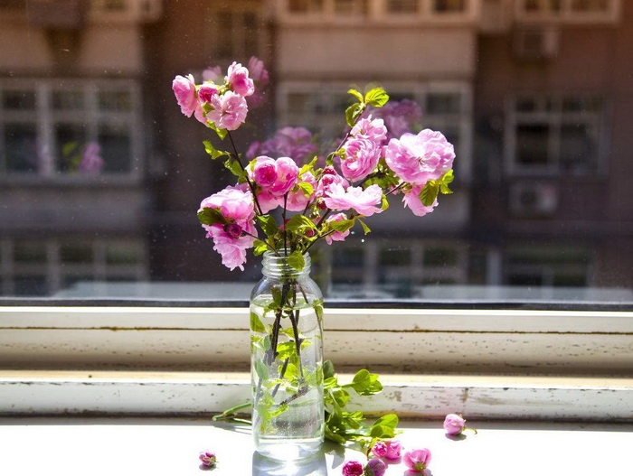 插花教学之：固定鲜花的几个小技巧