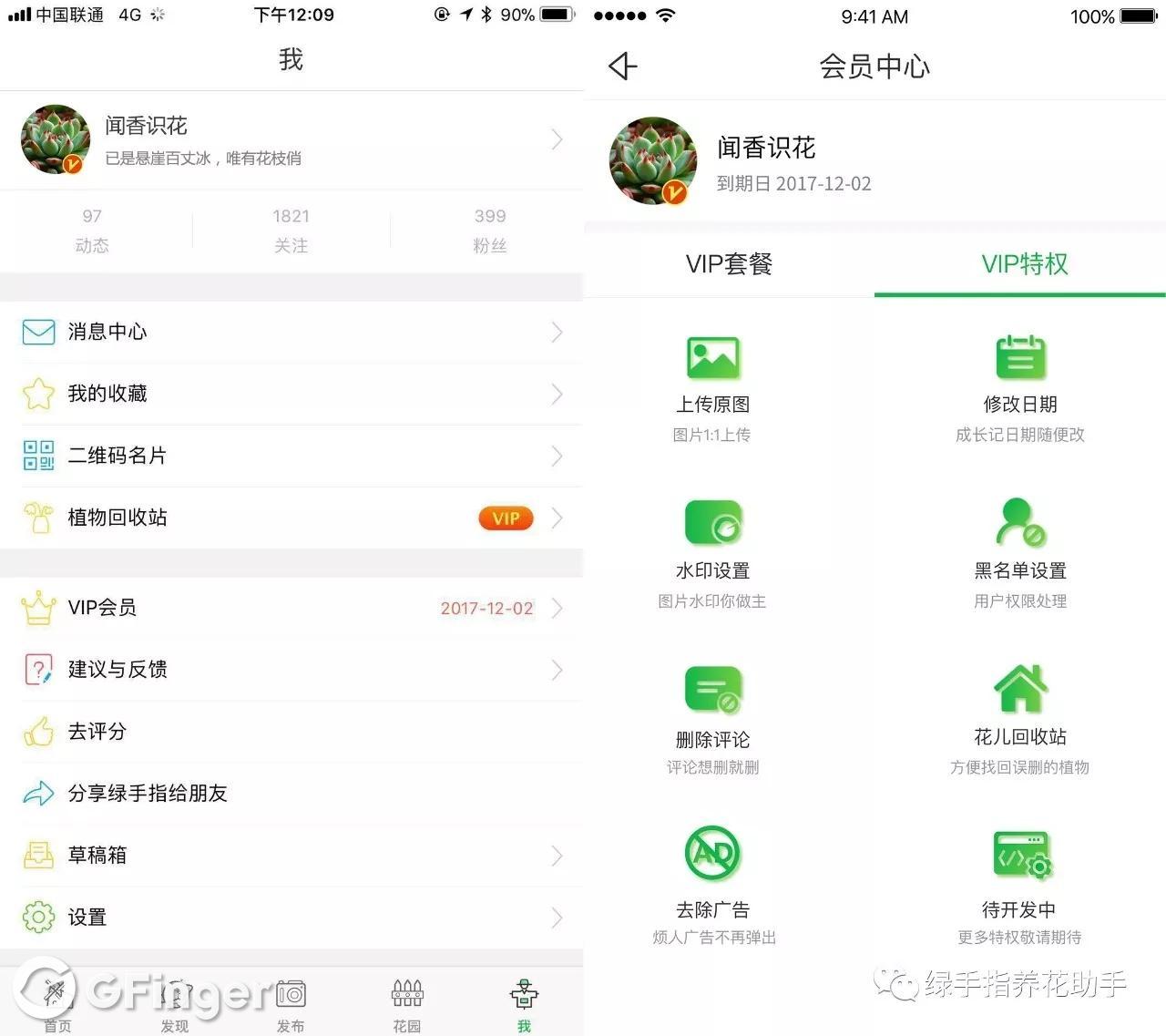 绿手指VIP圣诞特惠活动