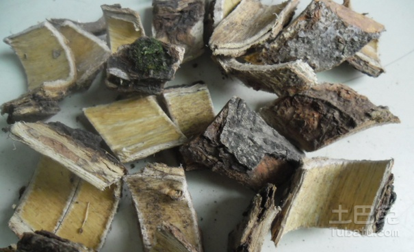 合欢皮图片欣赏及形态特征盘点