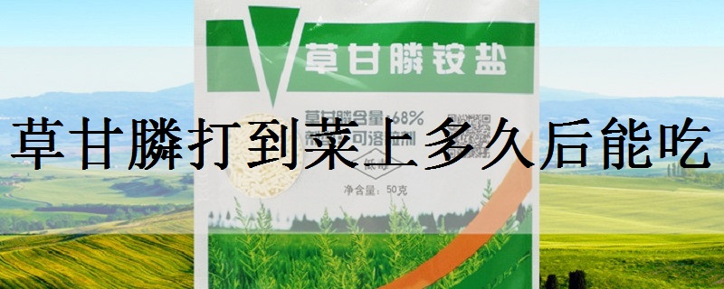 草甘膦打到菜上多久后能吃