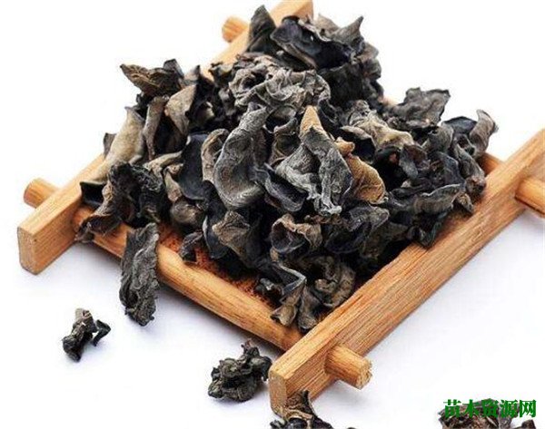 孕妇能吃木耳吗 吃木耳的好处和坏处