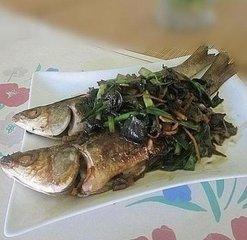 孙俪最爱这个花，可以吃，可以喝，能治病，家里赶快养一盆