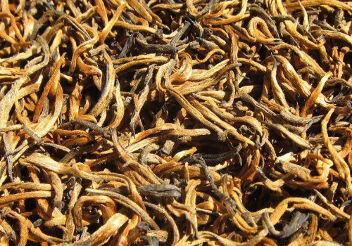 滇红茶红茶常喝有哪些利弊 怎么挑选