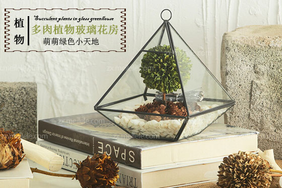 多肉植物玻璃花房diy,萌萌绿色小天地