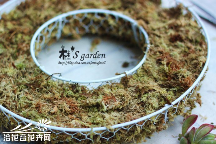 DIY-多肉植物 花环的制作
