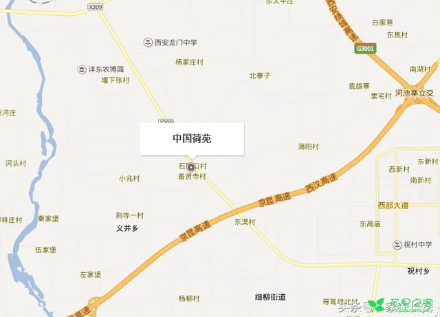 醉美残荷，秋菊流黄，最美西安创意花卉体验节即将盛大开幕！ 。。。