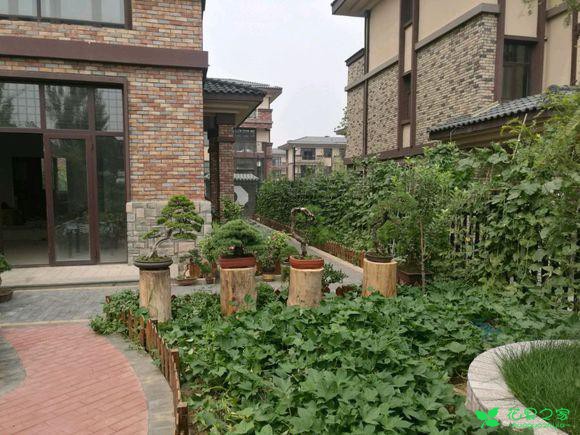 有个小院,自己动手做点创意工具,养花生活更有趣