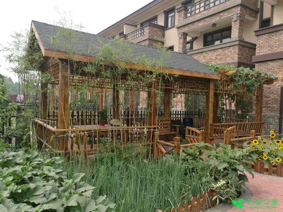 有个小院,自己动手做点创意工具,养花生活更有趣