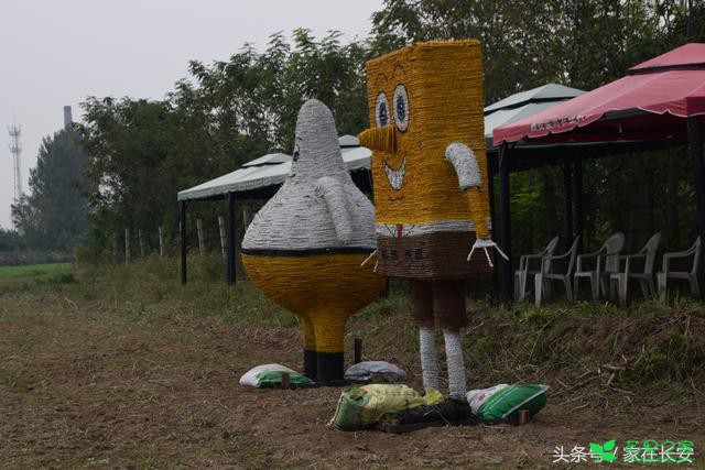 醉美残荷，秋菊流黄，最美西安创意花卉体验节即将盛大开幕！ 。。。