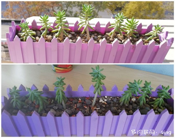 白手入坑，享受DIY