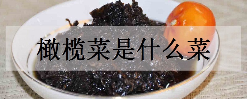 橄榄菜是什么菜