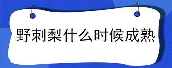 野刺梨什么时候成熟