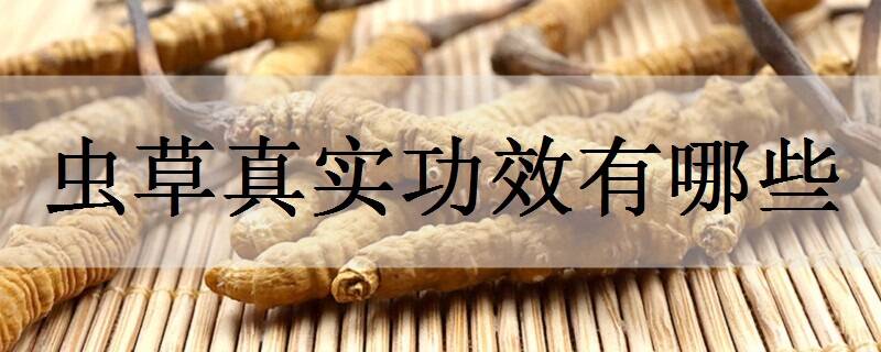 虫草真实功效有哪些 食用方法是什么