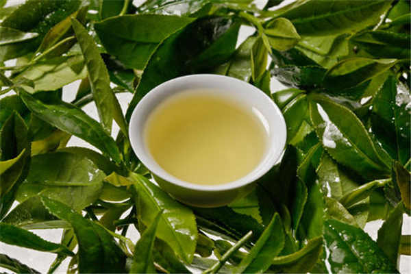 铁观音属于什么茶 有什么功效作用