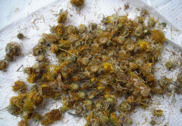 旋复花用量功效主治