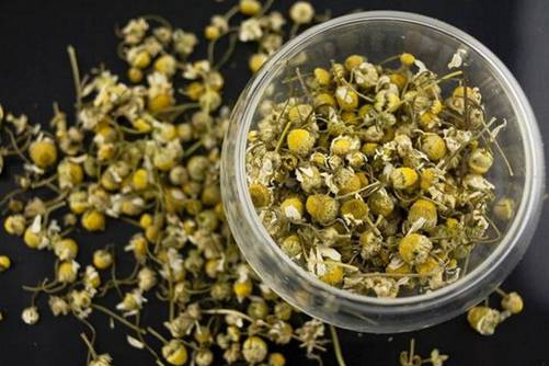 菊花茶的分类