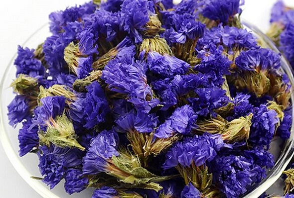 勿忘我花茶是凉性