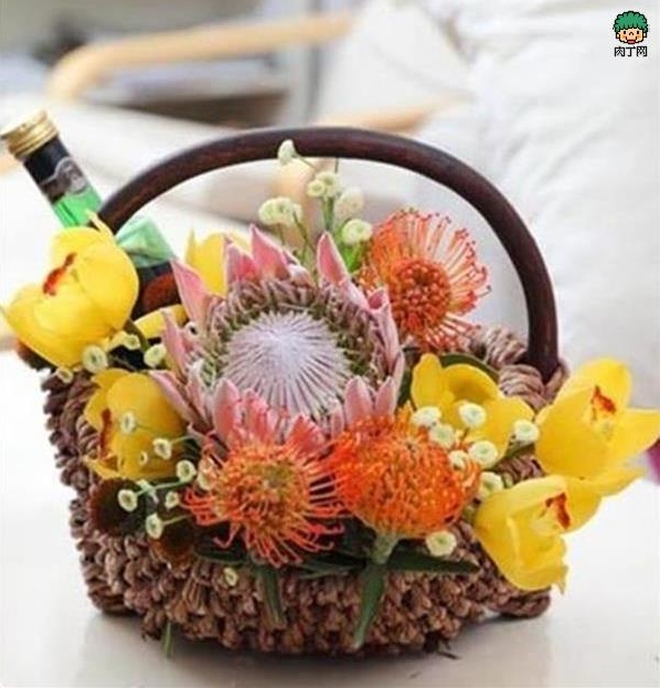 红酒帝王花插花教程