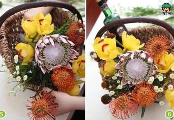 红酒帝王花插花教程
