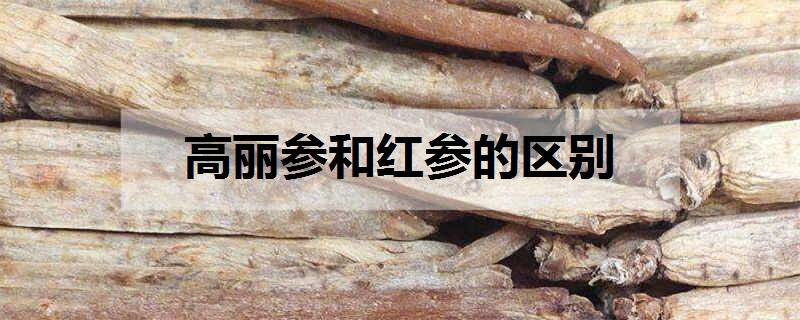 高丽参和红参的区别 二者一样吗