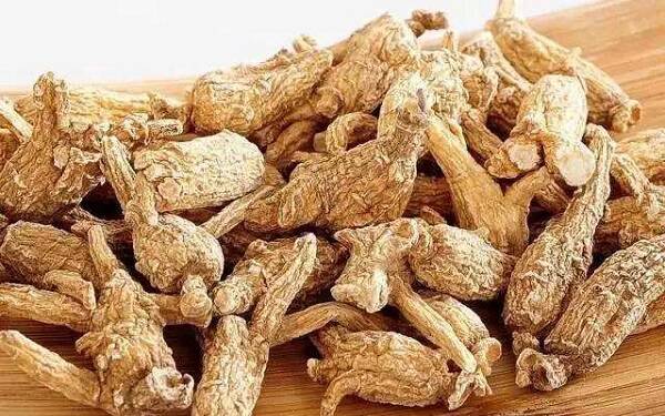 花旗参的禁忌人群 哪些人不能吃花旗参
