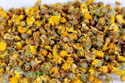 野菊花甘草泡水喝有什么功效作用？