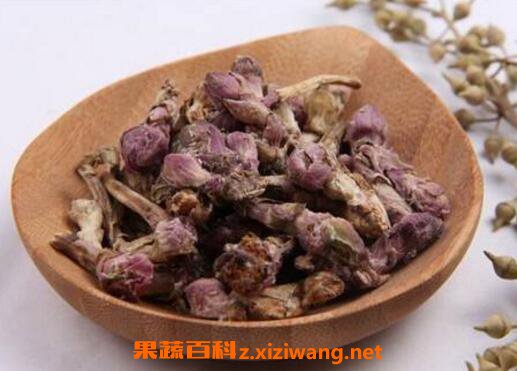 蜜款冬花的功效与作用