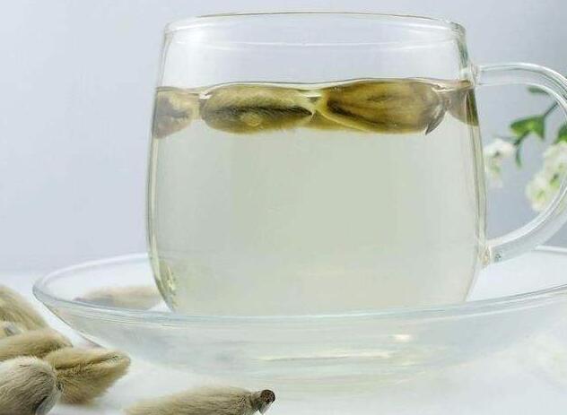 辛夷花怎么泡茶，最多泡3朵/禁忌多饮会引起身体不适