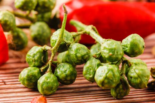 玫瑰菜花椒芽市场价多少钱一斤？有什么功效和作用？可以吃吗？怎么吃？