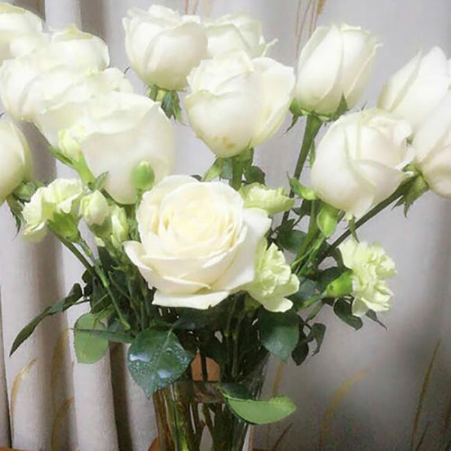 21朵白玫瑰的花语是什么？21朵白玫瑰的寓意和象征