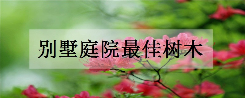 别墅庭院最佳树木 哪些树寓意好