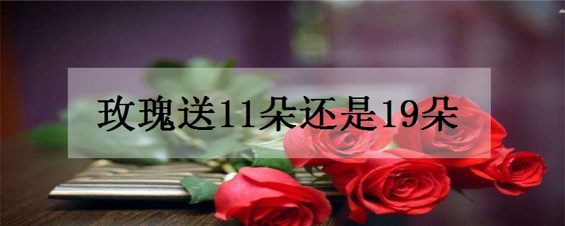 玫瑰送11朵还是19朵 送多少寓意好