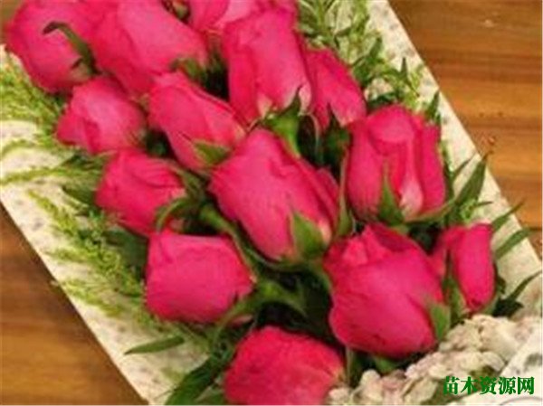 教师节一般送什么花 送花的忌讳有哪些